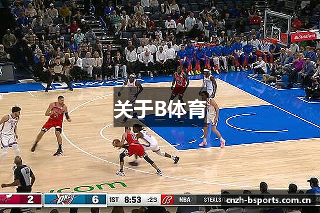 关于B体育